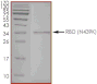 Product Element Image